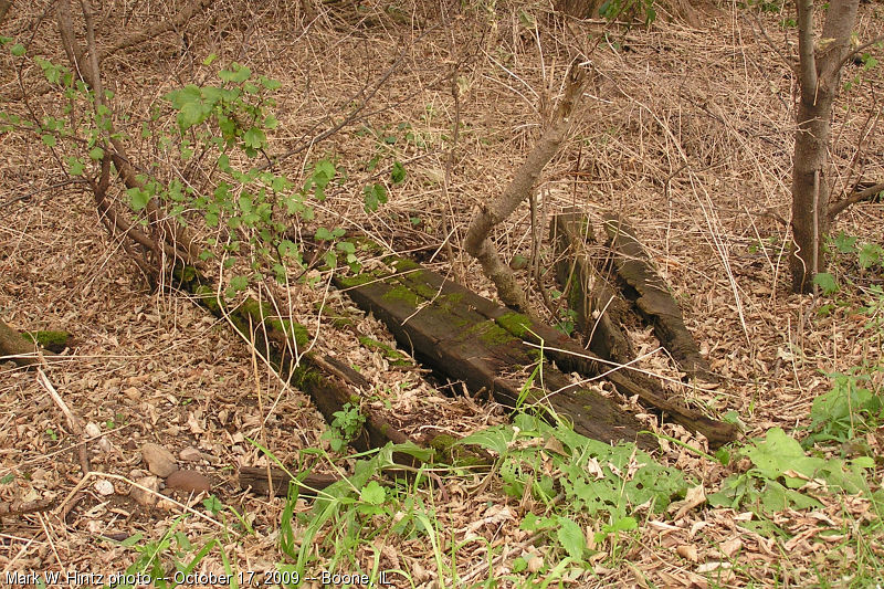 decaying railroad ties