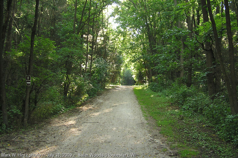 Seven Waters Trail in Saller Woods