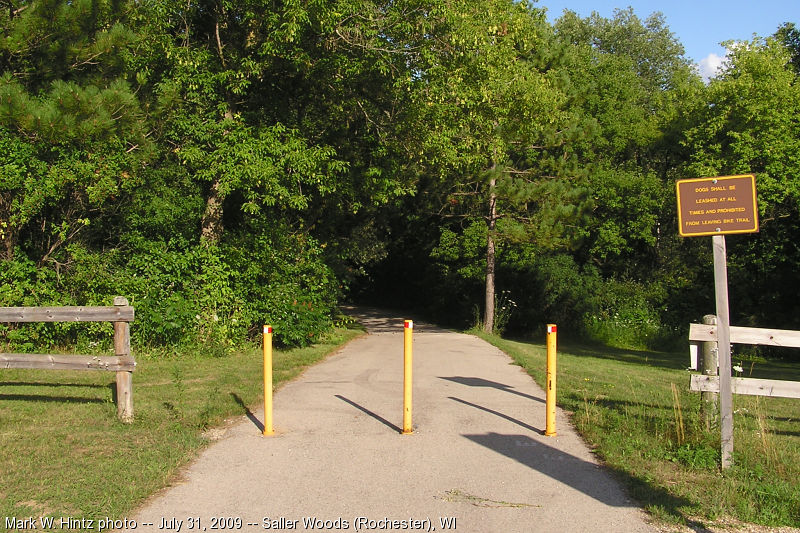 Seven Waters Trail in Saller Woods