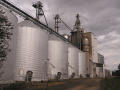 Poplar Grove Grain Facility