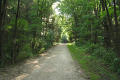 Seven Waters Trail in Saller Woods