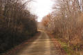 cut on White River State Trail