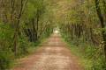 White River State Trail west of Springfield