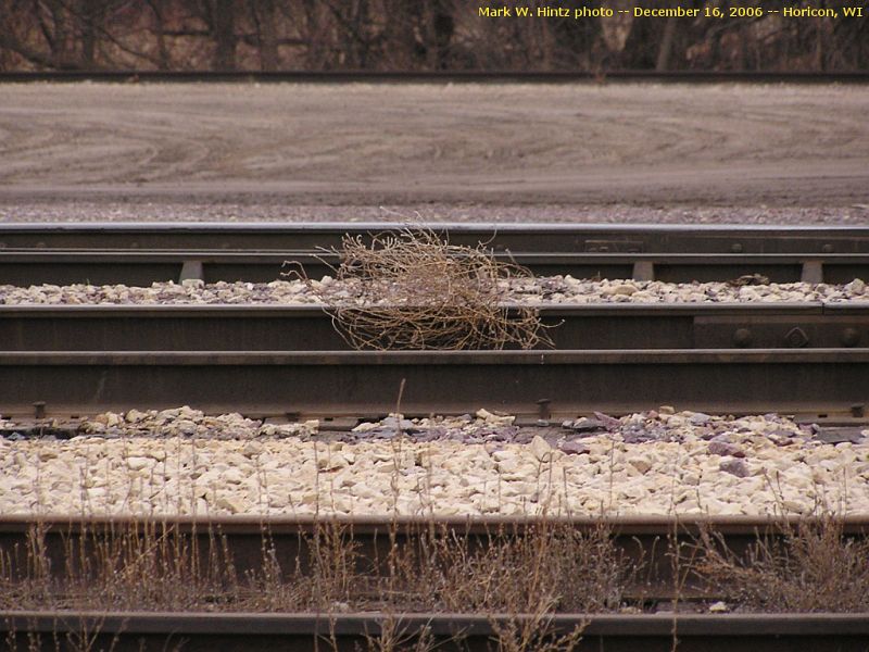 tumbleweed between the rails