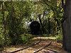 tank car in the woods