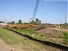 willow trees cut down at Six Mile Road and UP Kenosha Sub