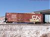 conductor riding CN boxcar 557197